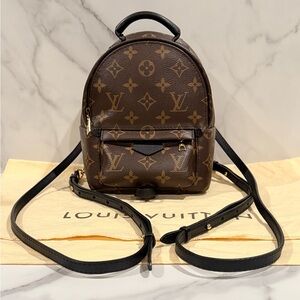 Louis Vuitton Palm Springs Mini